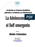 Adolescencia y Self Emergente