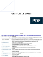 Gestion de Lotes Sap