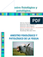 Anestro Fisiológico y Patológico