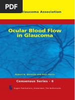 WGA6-Ocular Blood Flow in Glaucoma