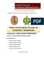 Informe FOCOUS GROUPfinl