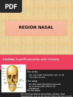 Region Nasal-Anato