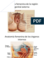 Anatomia y Fisiologia Femenina