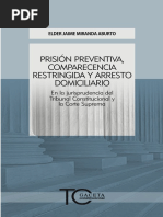 Prision Preventiva PDF