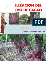 Fertilizacion en El Cultivo de Cacao