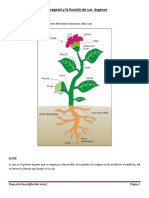 Manual de Huerta Edicion Word