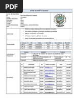 Informe Del Trabajo Colegiado