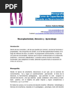 Neuroplasticidad, Atencion y Aprendizaje