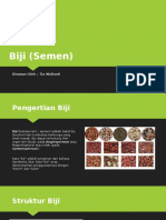 Biji (Semen) 2