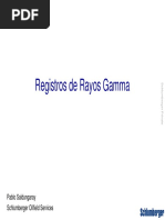 Rayos Gamma GR NGT Ecs