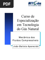 Mecanica Dos Fluidos Compressíveis