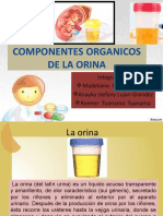 Componentes Organicos de La Orina