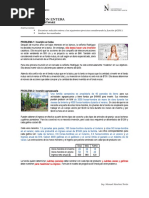 01l - Programacion Entera (Problemas)