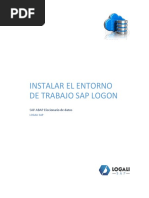 Instalar El Entorno de Trabajo SAP Logon