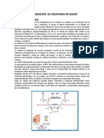 Determinacion de Creatinina