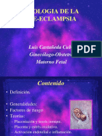 Etiologia de La Preeclampsia