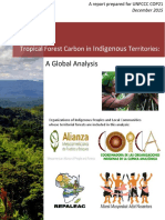 Tropical Forest Carbon in Indigenous Territories