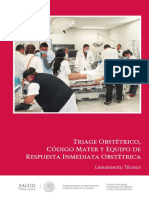 Triage Obstetrico