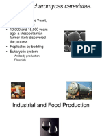 26 Industrial and Food Production