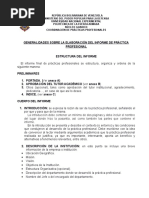 Pautas para Elaboracion de Informe de Pasantias