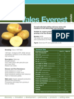 Potato Vales Everest