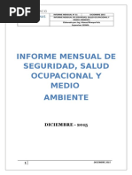 Informe Mensual de Diciembre Seguridad 160217023108