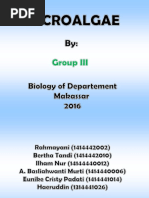 MicroAlgae Group III