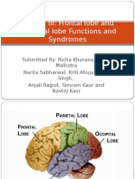 Frontal Lobe and Temporal Lobe Functions and Syndromes