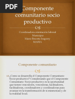 Componente Comunitario Socio Productivo