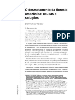 Livro: O Desmatamento Da Floresta Amazônia Causas e Soluções