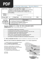 Evaluación Plantas 3°