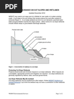 Wetland Guid Cut Slopes