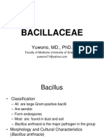 (MIKROBIOLOGI) IT 15 - Basil Gram Positif - YON