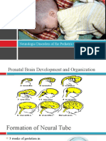 Congenital Neurologic Disorders