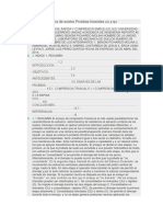 Reporte de Mecanica de Suelos Pruebas Triaxiales Uu y Qu