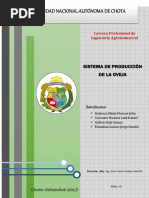 Sistema de Producción de Obeja