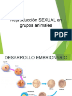 Reproduccion Sexual en Animales