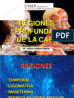 Cara Regiones Profundas 04 09 17