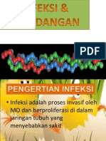 Proses Inflamasi