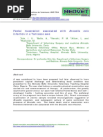 Foetal Maceration Associated With Brucella Ovis Infection in A Yankassa Ewe