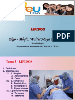 Lipidos