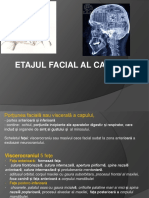 Curs 3-4 Regiune Faciala