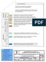 Columna Estratigrafica