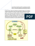 Ciclo Del Azufre