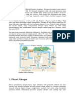 Penjelasan Siklus Nitrogen Beserta Gambar