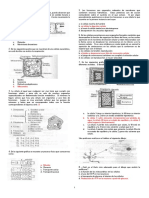 Taller de Repaso Periodo 1