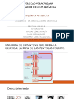 Bioquimica Via de Pentosas Fosfato