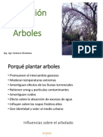 Plantacion de Arboles