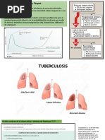 Etapas de TBC - Mark