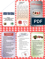 Leaflet Anemia